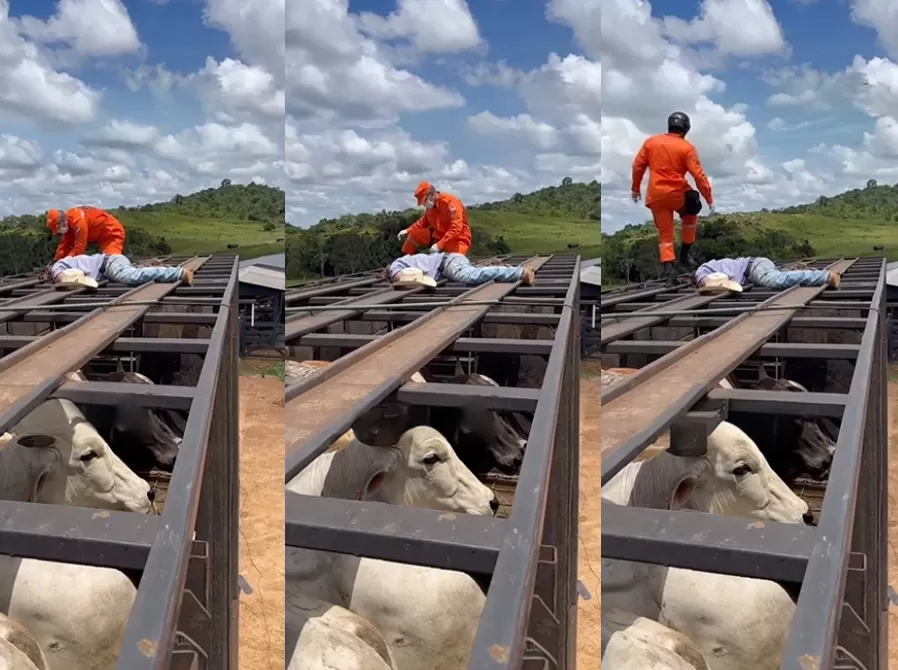 Boiadeiro Morre Vítima de Descarga Elétrica após Contato com Fio de Alta Tensão