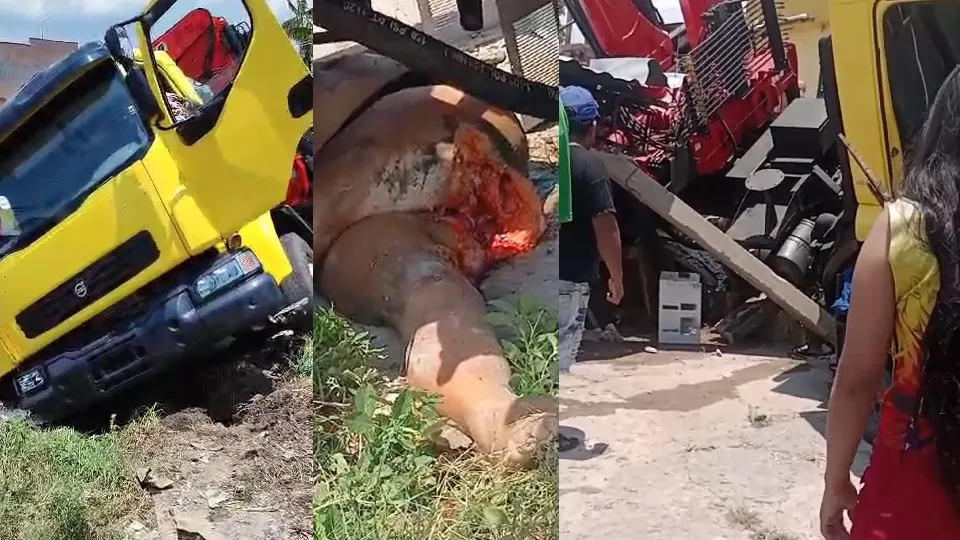 Vídeo: Mulher Morre Atropelada de Forma Brutal por Caminhão Desgovernado