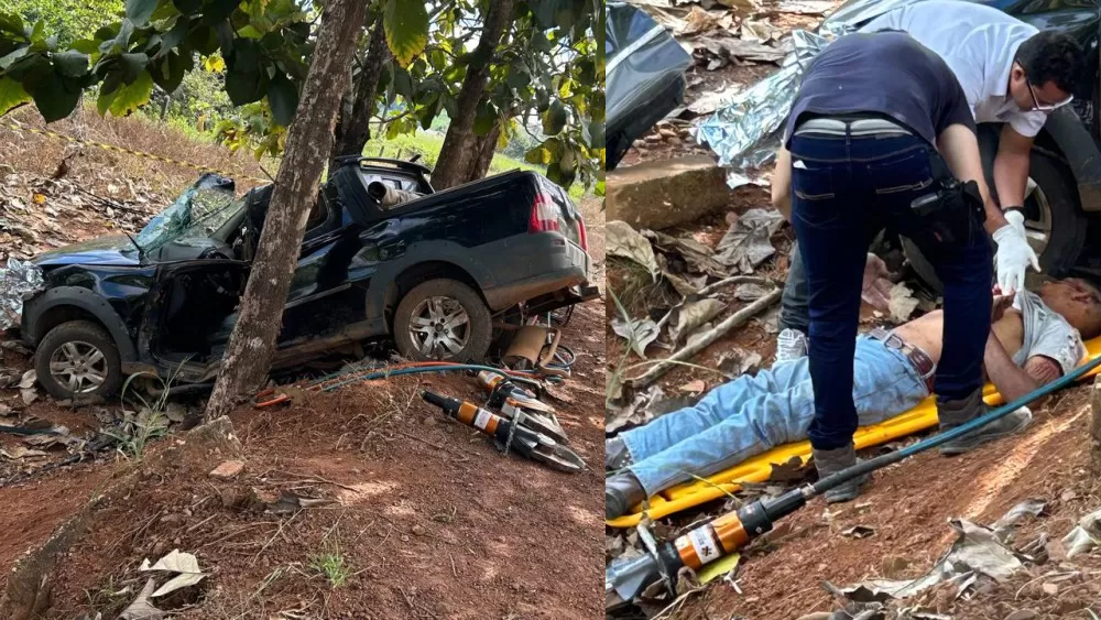 Vídeo: Motorista Morre em Grave Acidente na RO-463 em Rondônia após colidir com duas árvores