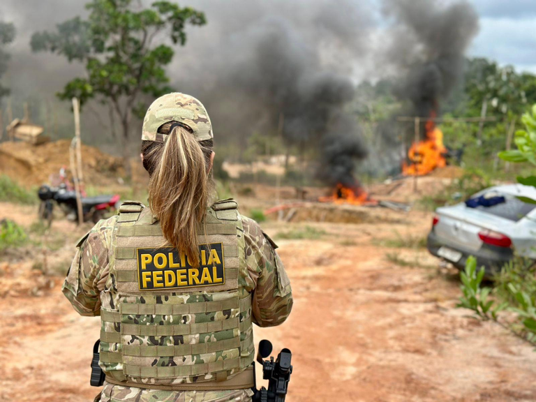 Ji-Paraná: PF deflagra operação contra ameaças a policial rodoviário em Rondônia após apreensão de madeira ilegal