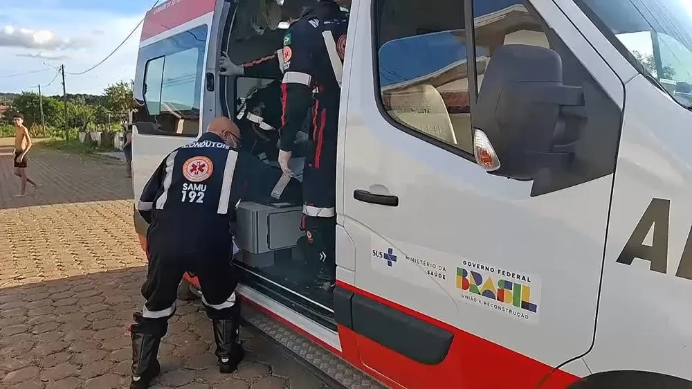 Rottweilers soltos causam pânico em Ji-Paraná; Polícia e Bombeiros são acionados para controlar situação