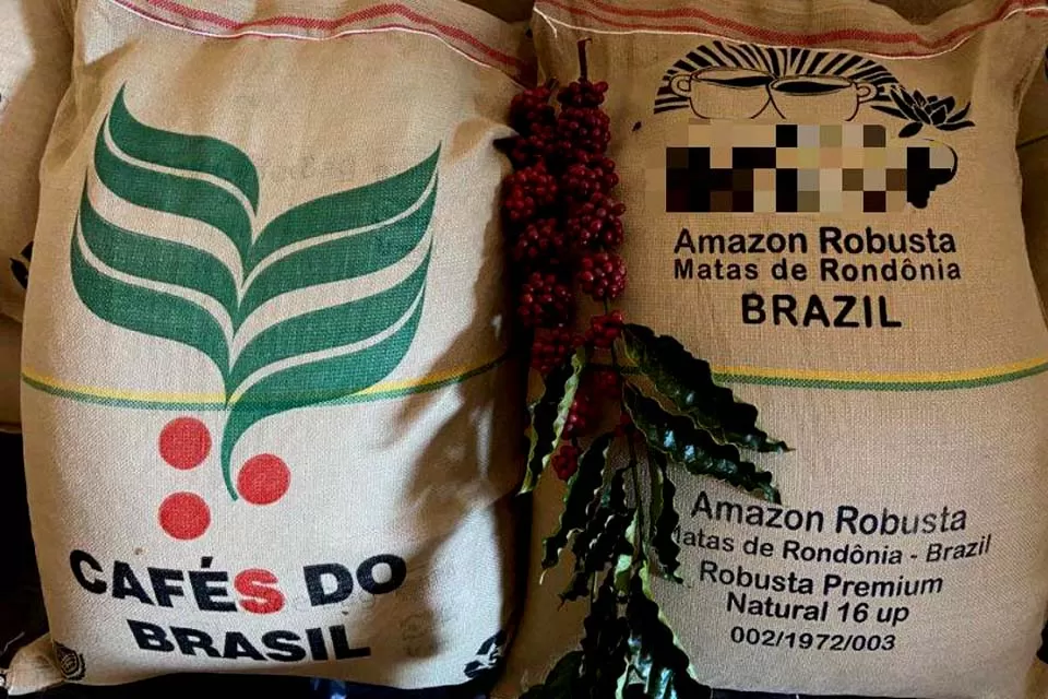 1ª Feira Tecnológica Robustas Amazônicos destaca a importância do café robusta para Rondônia