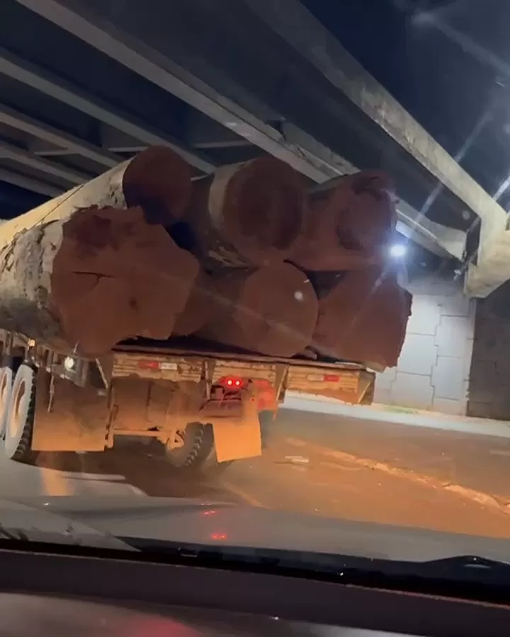 Vídeo: Operação da Polícia Federal combate transporte ilegal de madeira em Rondônia: prisões em Espigão do Oeste e Porto Velho