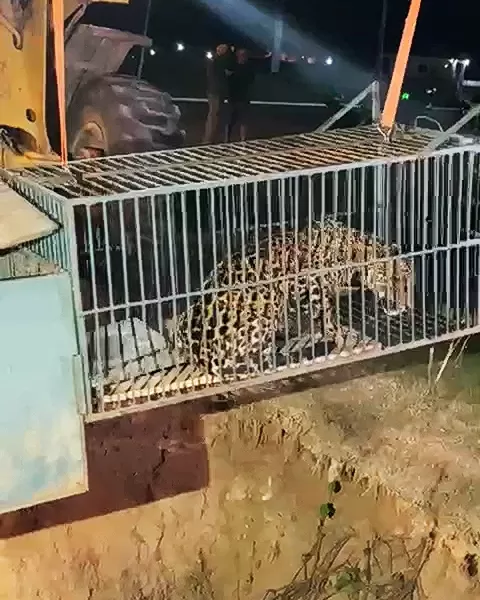 Foto: Folha de Ji-Paraná