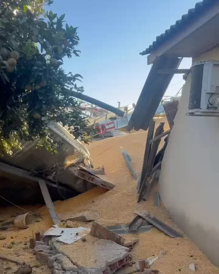 Vídeo: Desastre em Rondônia: Queda de Silo Enterra Animais Vivos em Milho e Destrói Casa Próxima ao Aeroporto
