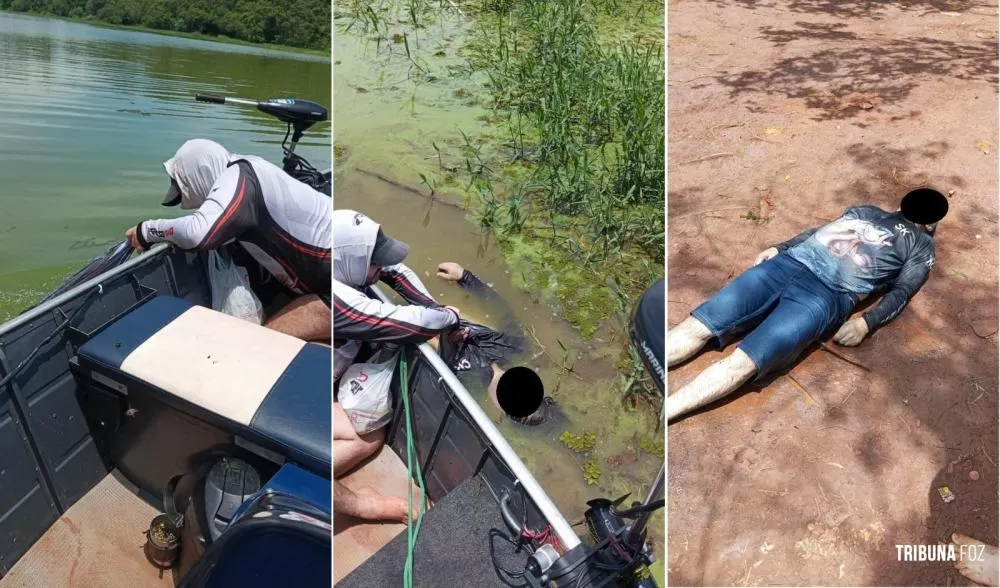 Idoso Morre Afogado ao Fugir de Ataque de Abelhas em Zona Rural