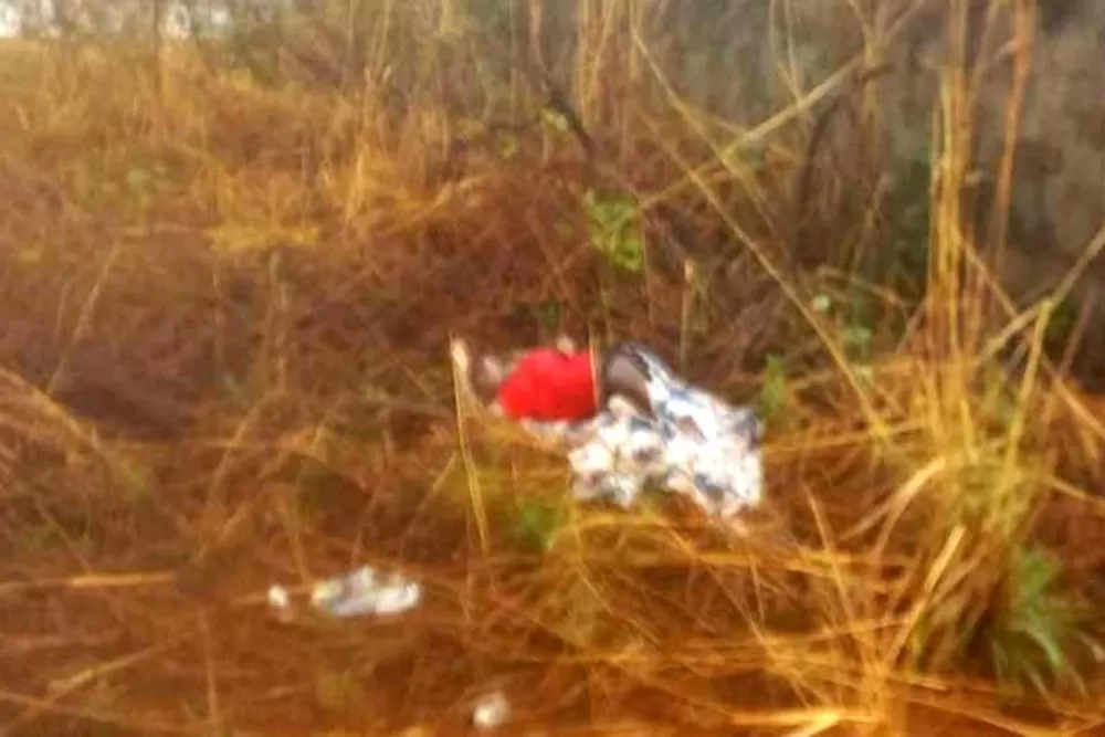 Corpo com Ferimentos na Cabeça é Encontrado em Terreno Baldio em Vilhena