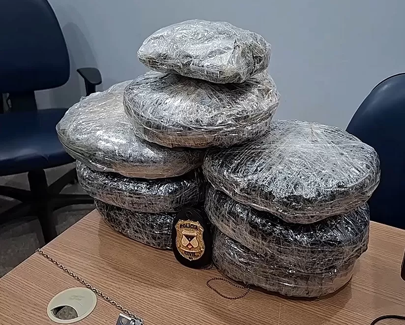 Carga do Tráfico em Transportadora de Ji-Paraná: Polícia Estoura Esquema e Apreende 7,3 kg de Drogas escondidos entre Produtos Comuns