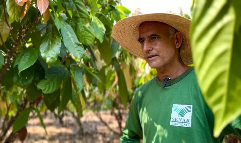 Programa “Fomenta Cacau Senar” impulsiona produção e fortalece a cacauicultura em Rondônia