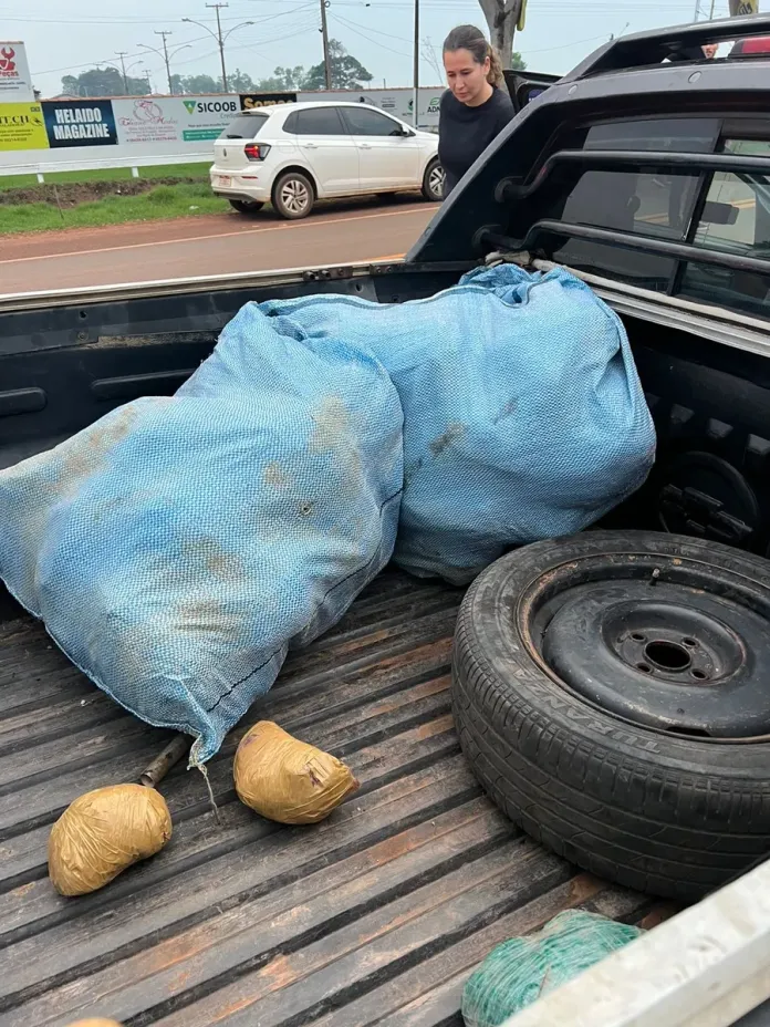 Ação conjunta da Polícia Militar e Civil apreende cerca de 50 kg de drogas em São Miguel do Guaporé
