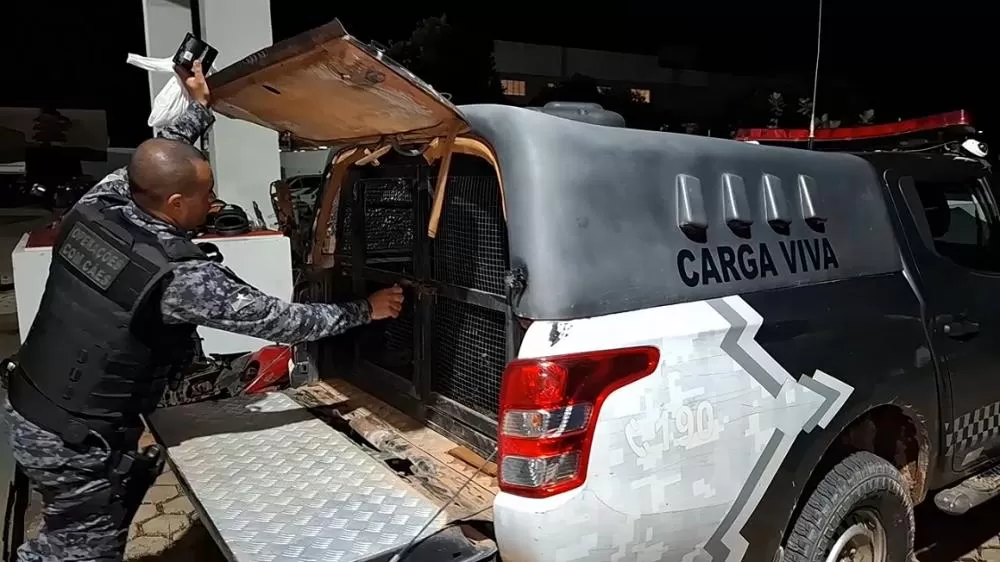 Operação da PATAMO em Ji-Paraná prende membro do CV com drogas, rádios e sprays de pichação no bairro Urupá