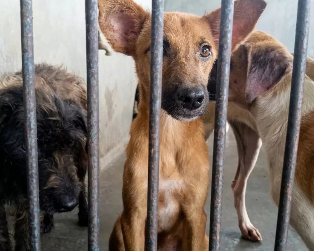 Foto: Marco Bernardi