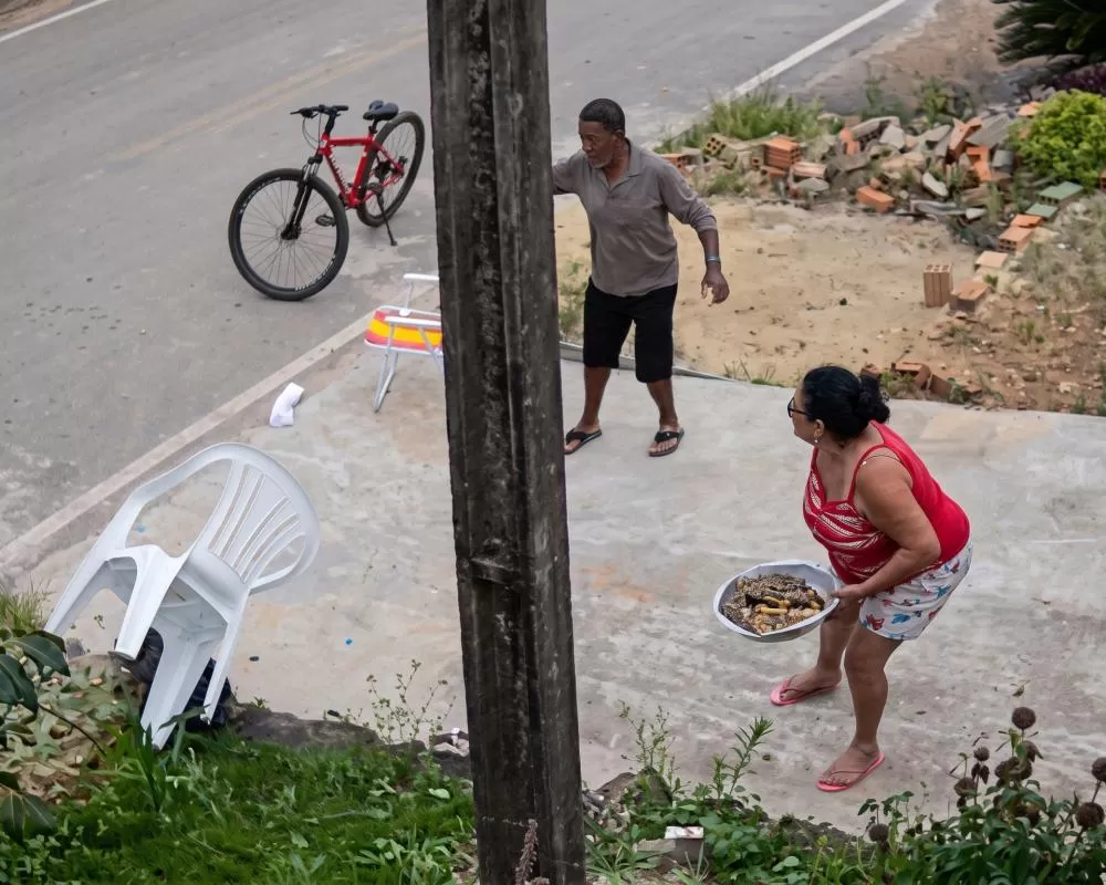 Vídeo: Pitbulls atacam Poodle em Ji-Paraná e vídeo revolta moradores do bairro São Bernardo 
