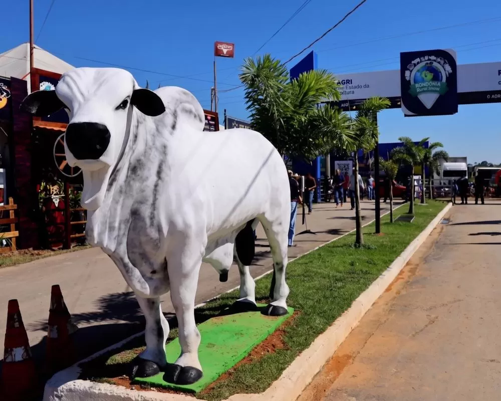 Rondônia Rural Show em Ji-Paraná traz palestras, oficinas e painéis sobre agronegócio, tecnologia e produção rural nesta quinta-feira