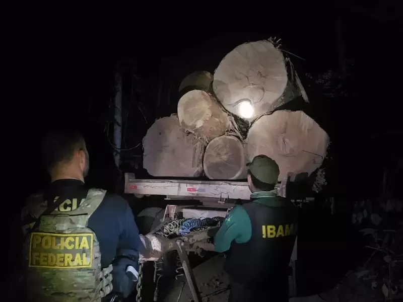 PF Investiga Esquema com R$ 400 Milhões em Danos Ambientais em Rondônia