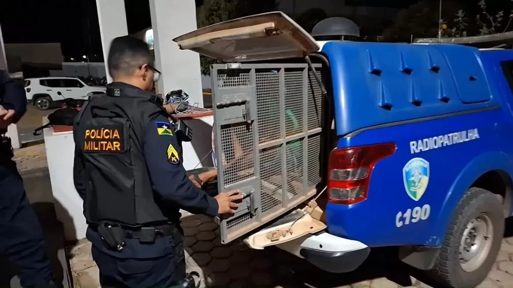 Homem quebra celulares da esposa e acaba conduzido à UNISP após denúncia em Ji-Paraná