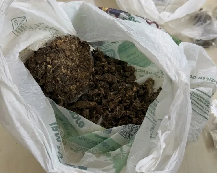 Ação policial termina na apreensão de drogas e menores em Ji-Paraná — Suspeito armado encarou guarnição e fugiu 
