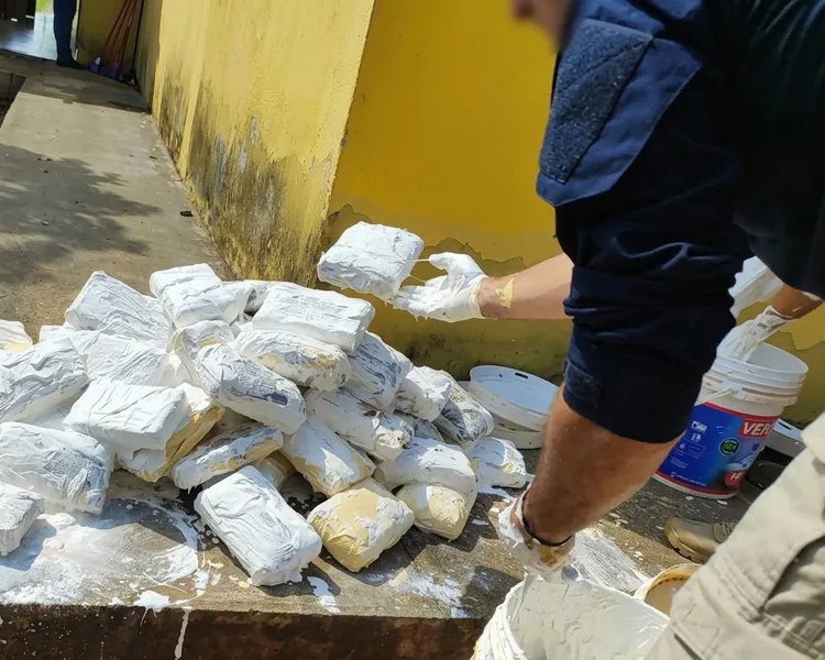 Polícia e Receita Federal localizam e apreendem 160 kg de skunk em Ji-Paraná escondidos em baldes de massa corrida