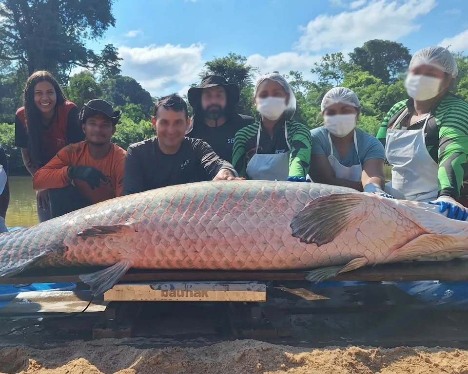 Foto: Folha de Ji-Paraná