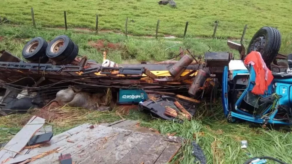 Urgente! Caminhão Boiadeiro com 70 Animais Tomba na BR-364 em Ji-Paraná