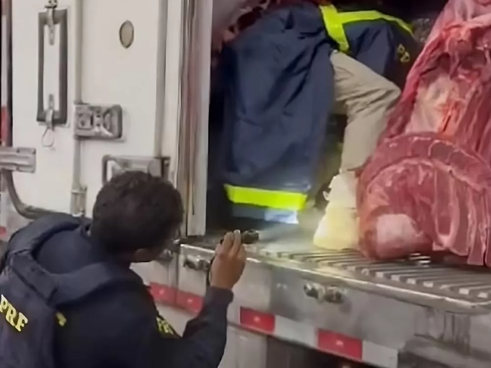 Motorista de Rondônia: PRF Apreende 424 kg de Drogas em Caminhão Frigorífico na BR-364