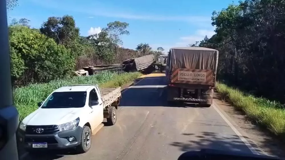 Acidente Entre Caminhões de Bois e Soja na BR-364 Deixa Animais Mortos e Trânsito Congestionado
